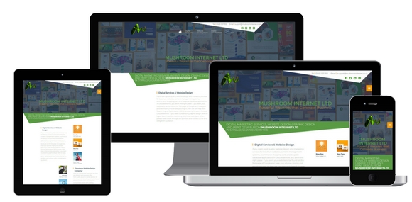 website development, mobile responsive website design from Mushroom Internet Ltd